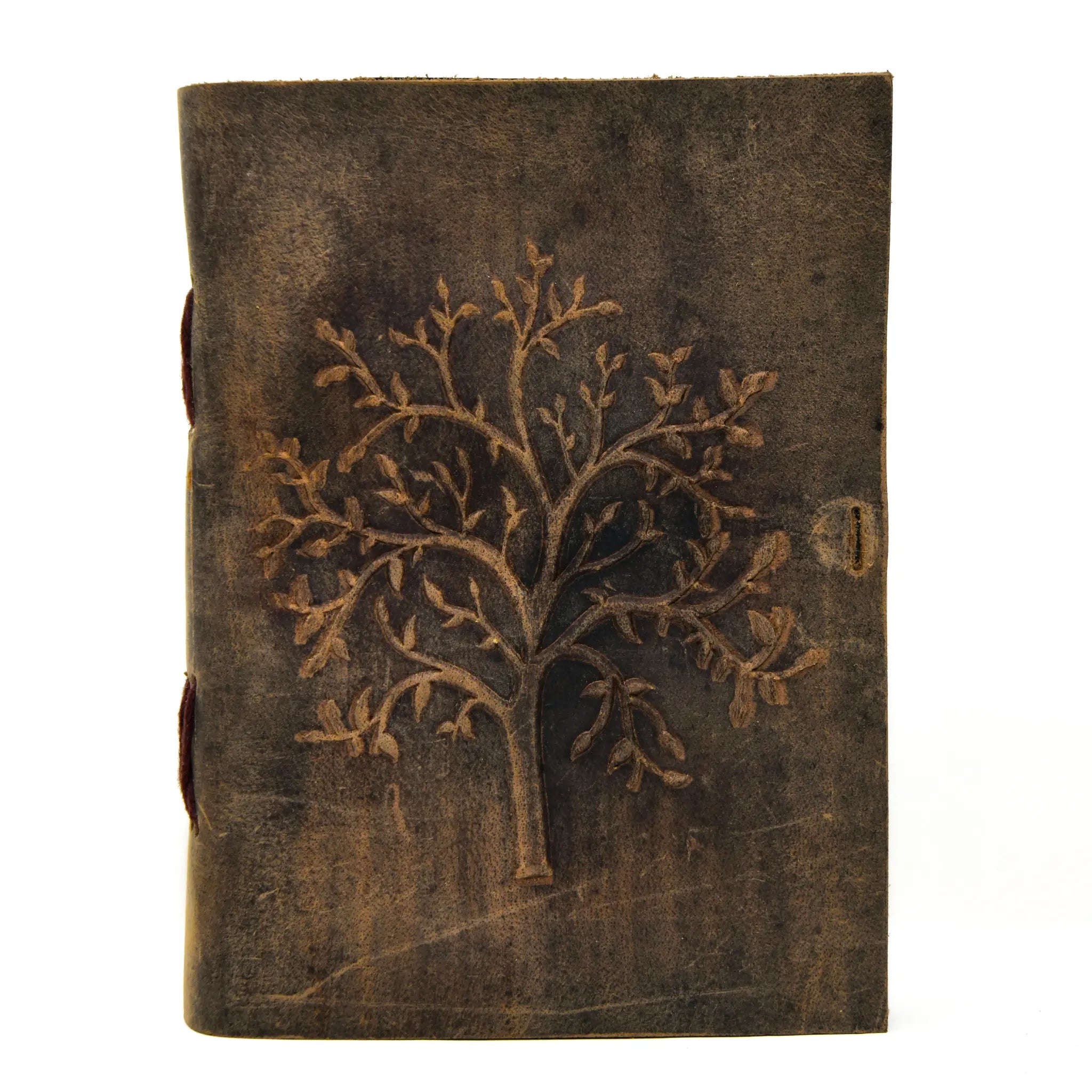 Tree of Life image 1
