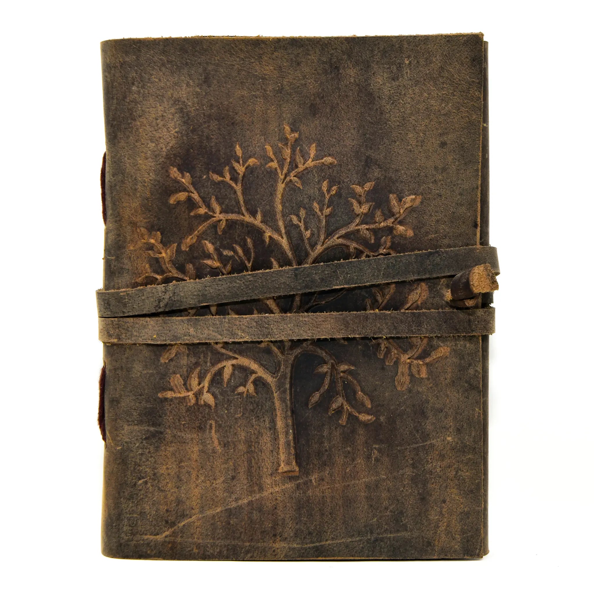 Tree of Life image 0